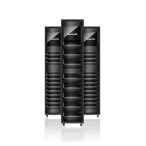 Система хранения данных Huawei OceanStor серии 9000 90002U-M24-AC Система хранения данных Huawei OceanStor серии 9000 90002U-M24-AC